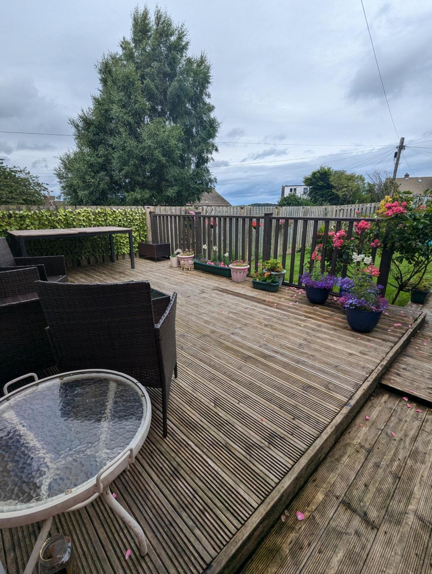 Single Room With Beautiful Garden Edinburg Exteriör bild